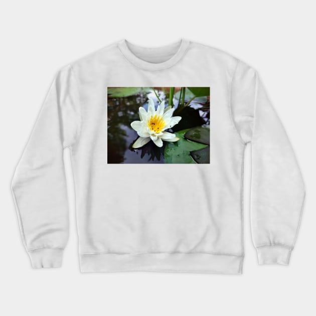 Little water lily Crewneck Sweatshirt by Gourmetkater